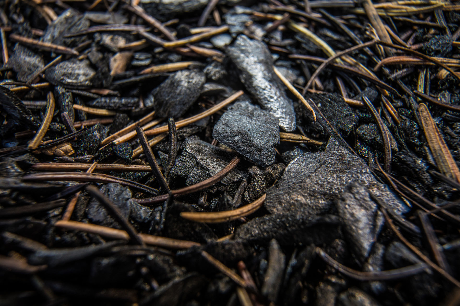Ash and soot from the Howe Ridge Fire